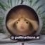 用户日剧迷老王的头像，中年男性认真表情
